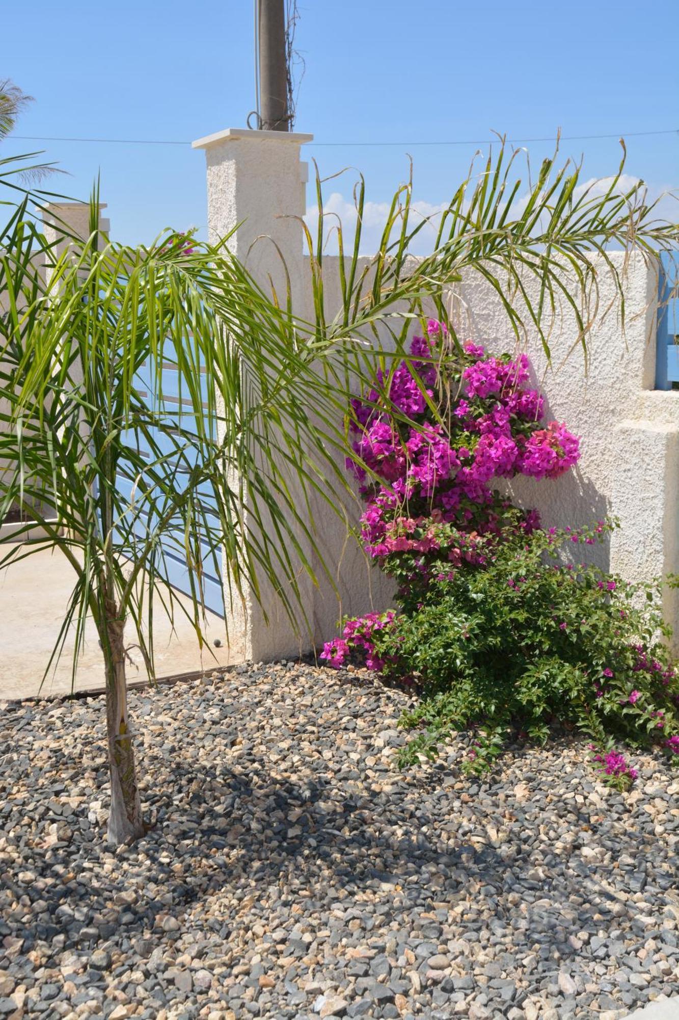 Colapesce Villa Marzamemi